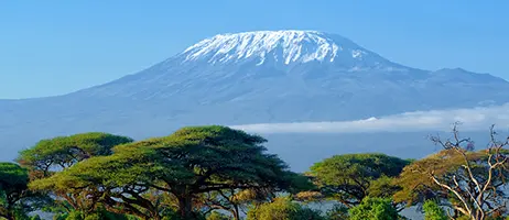 Kilimanjaro/